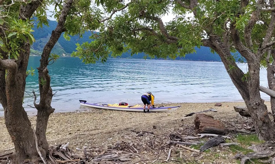 Pipi Beach Campsite