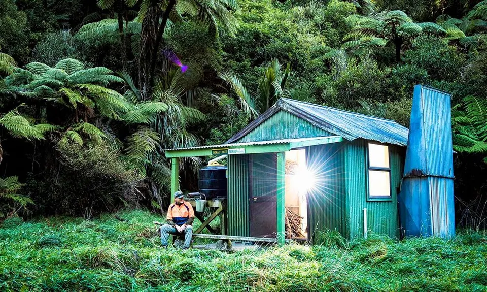 Nikau Flat Hut