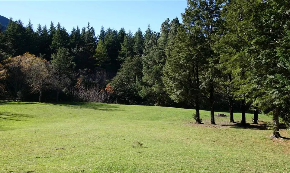 Wooded Gully Campsite