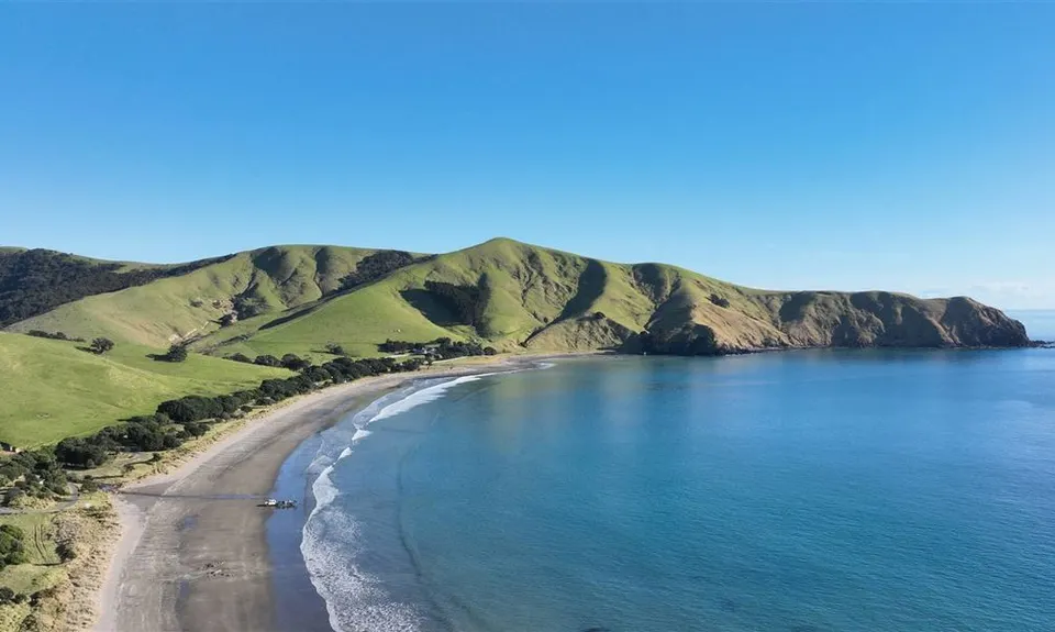 Port Jackson Campsite