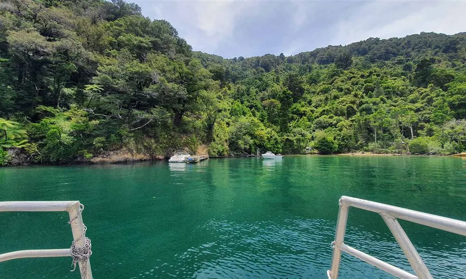 Kumutoto Bay Campsite