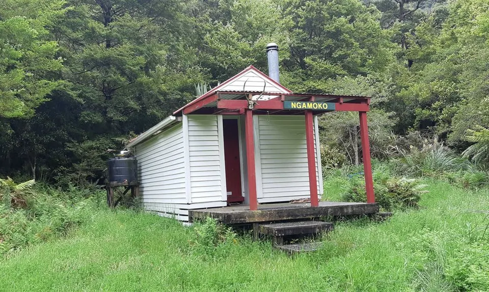 Ngamoko Hut