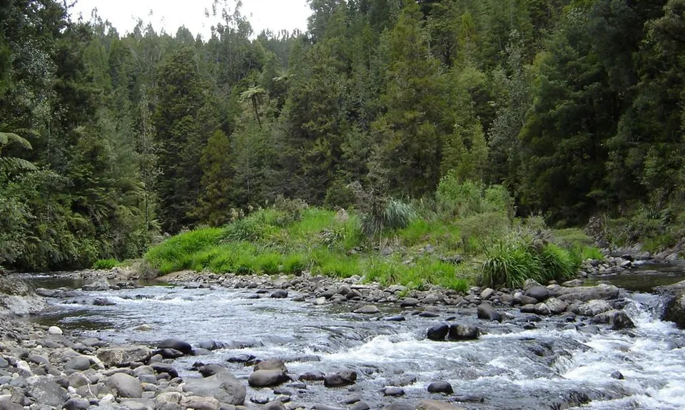 Dickey Flat Campsite