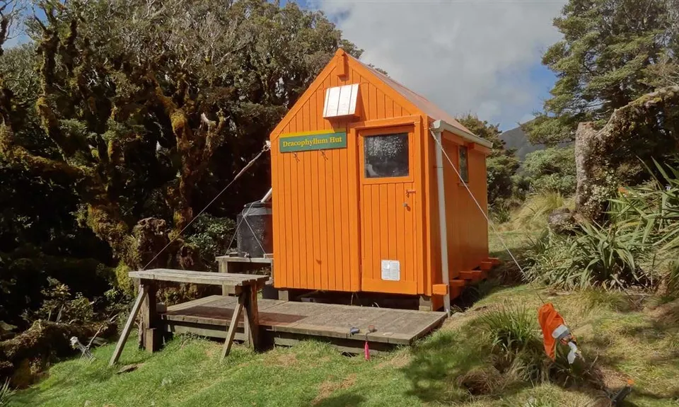 Dracophyllum Hut