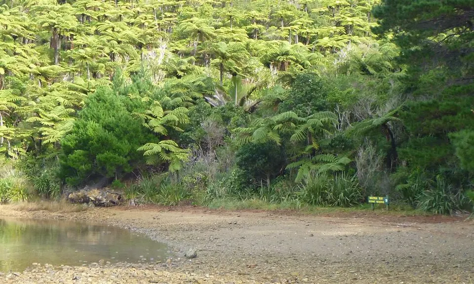 Waiona Bay Campsite