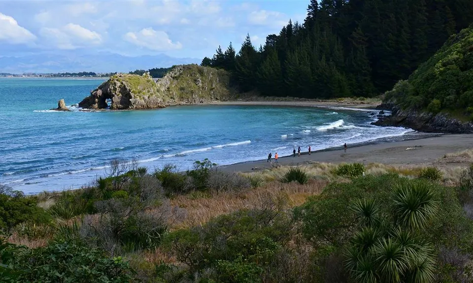 Whites Bay Campsite