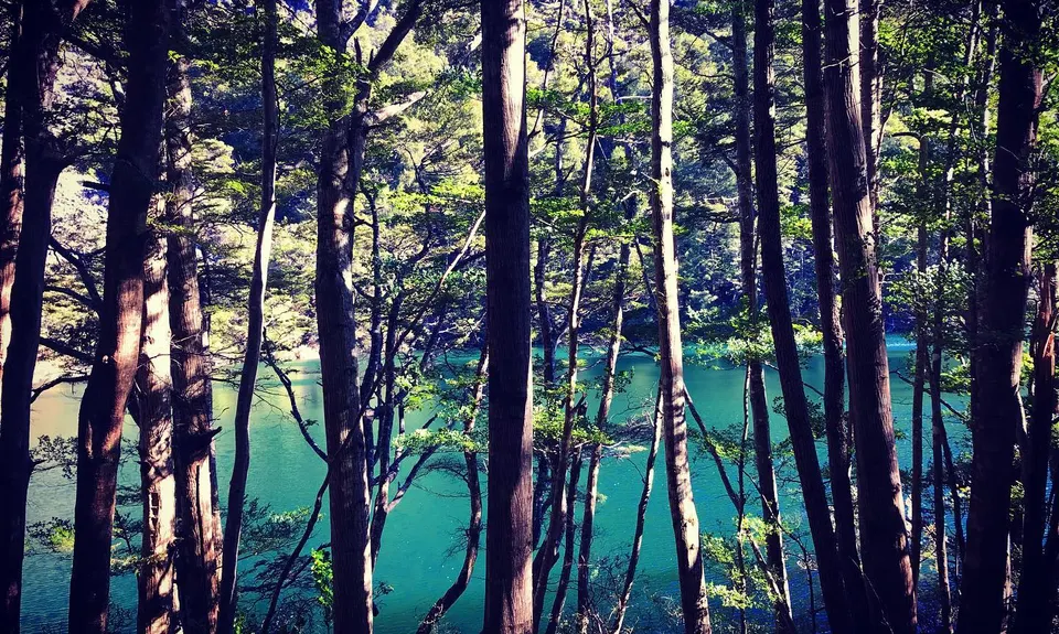 Lake Rere Loop, Otago