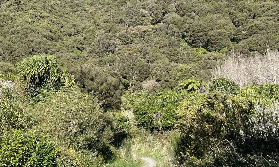 Rimutaka Incline, Wellington