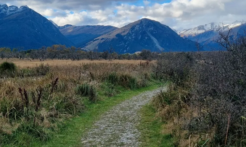 Rising Trout, Otago