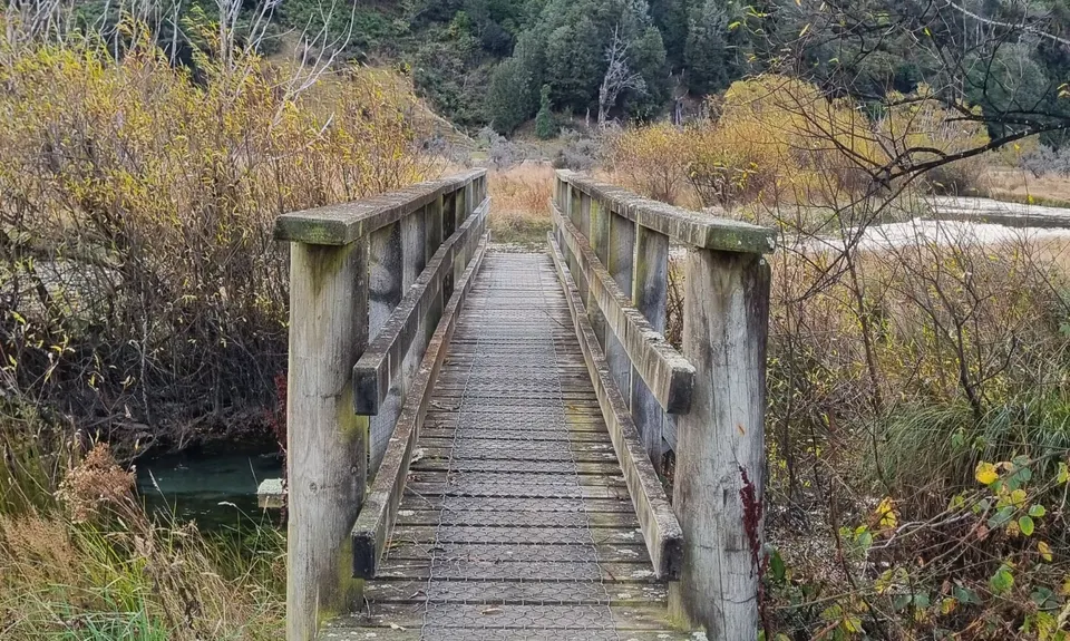 Rising Trout, Otago
