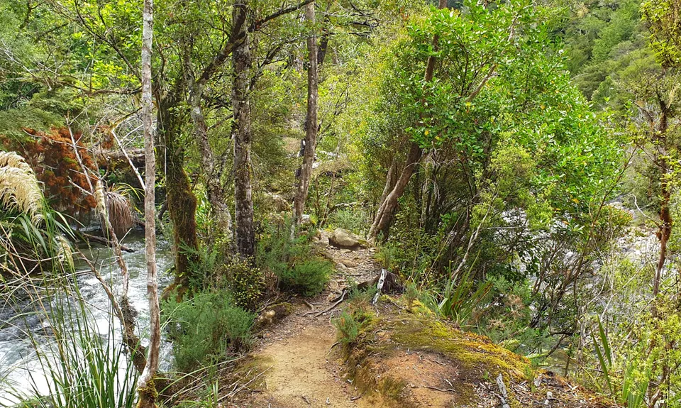 Maitai Cave Track, Nelson