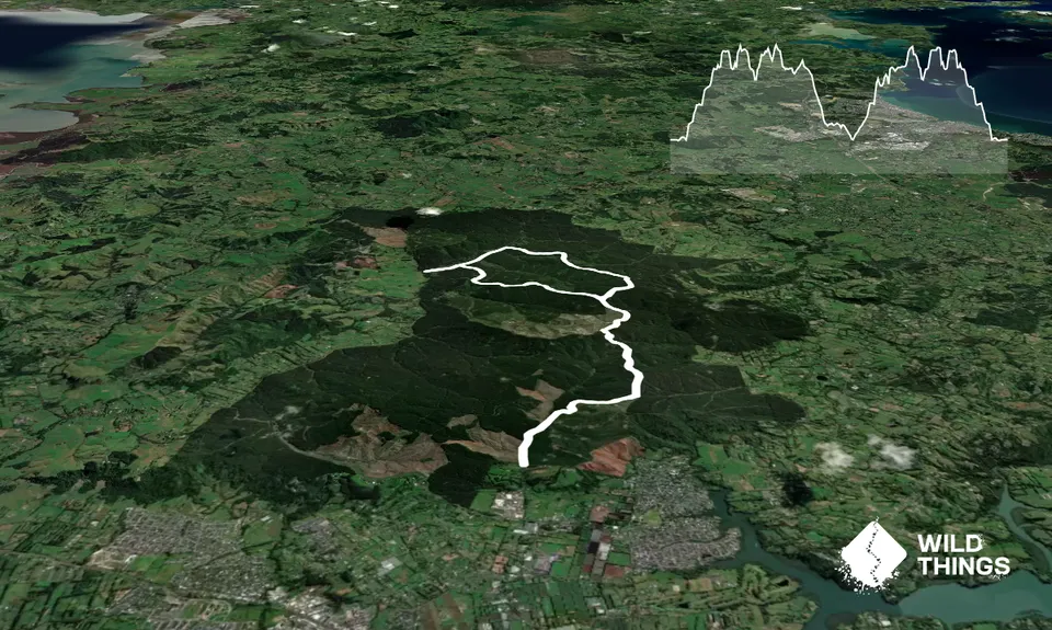 Riverhead Forest South Loop, Auckland