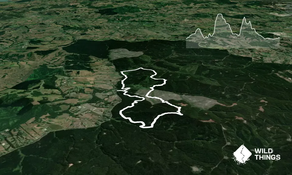 Riverhead Hourglass 10KM, Auckland