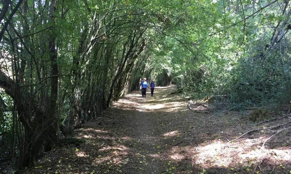 Ready Money Trail, Canterbury
