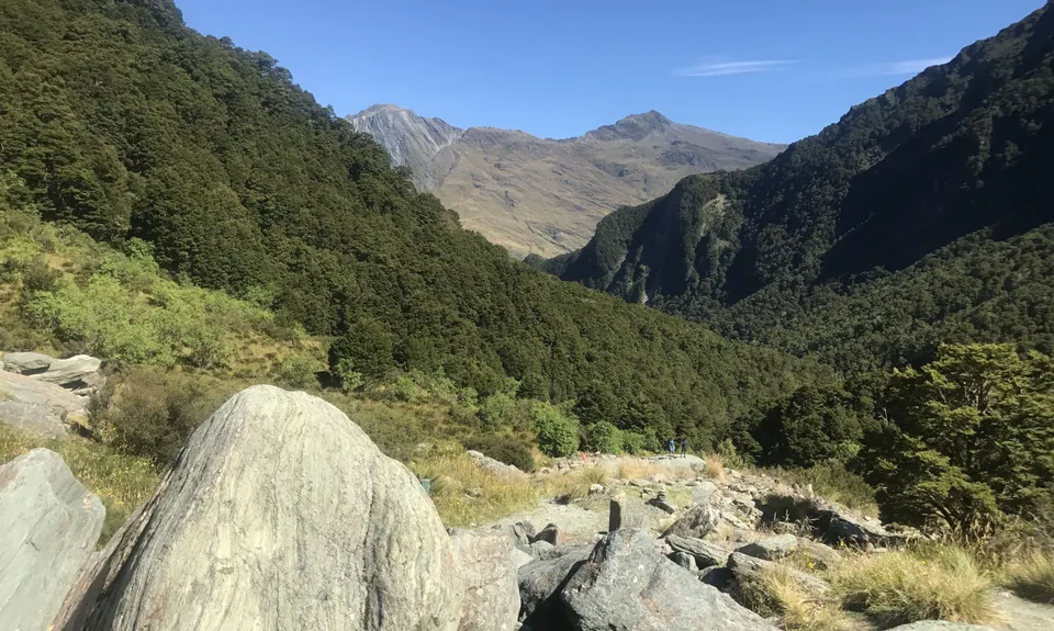 Rob Roy Glacier Track, Otago