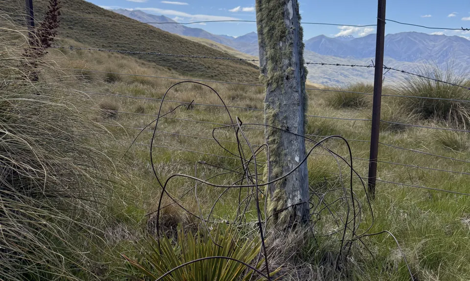 Rock Peak Track, Otago