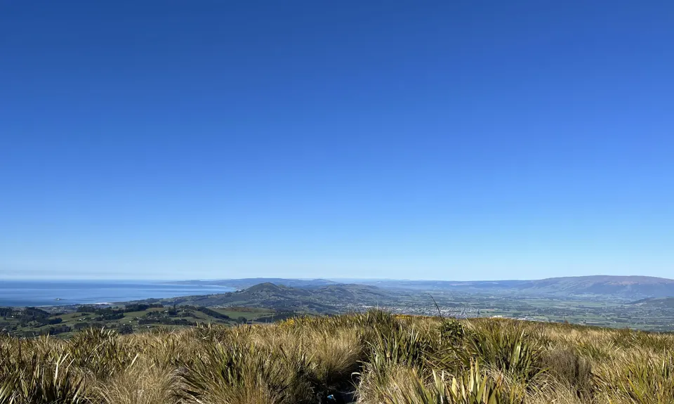 Ross, Pineapple, Frasers loop, Otago