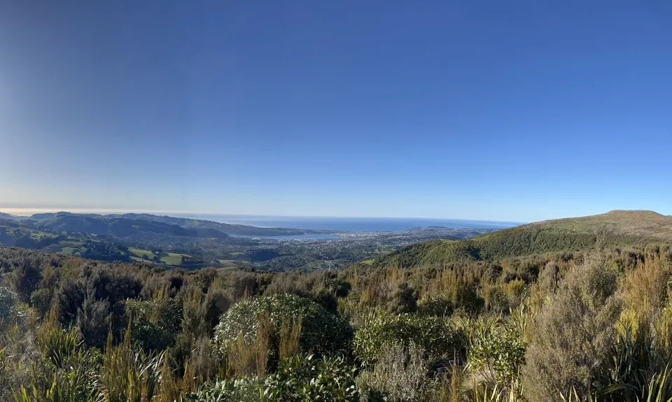 Ross, Pineapple, Frasers loop, Otago