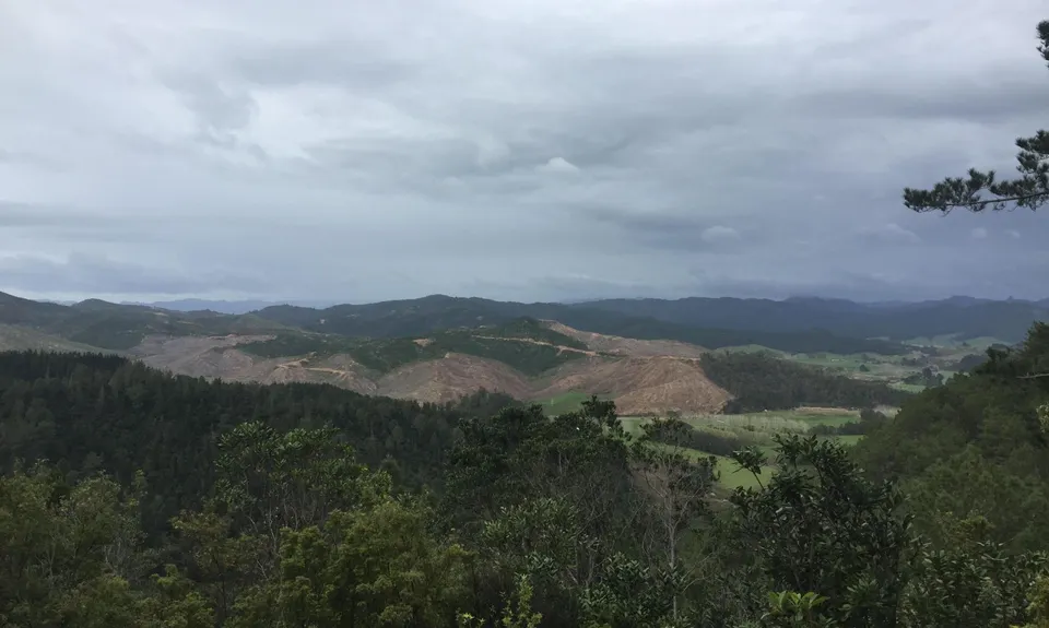 Matarangi & Rings Beach Loops, Waikato