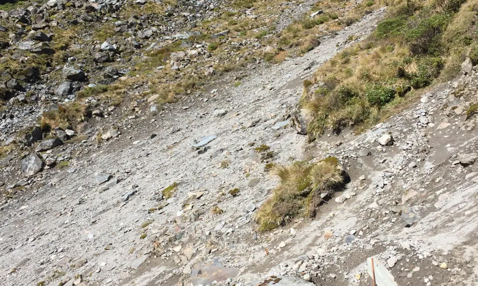 Holly Hutt Track, Taranaki