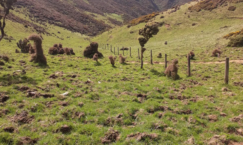 Skyline - Mt Kaukau, Wellington