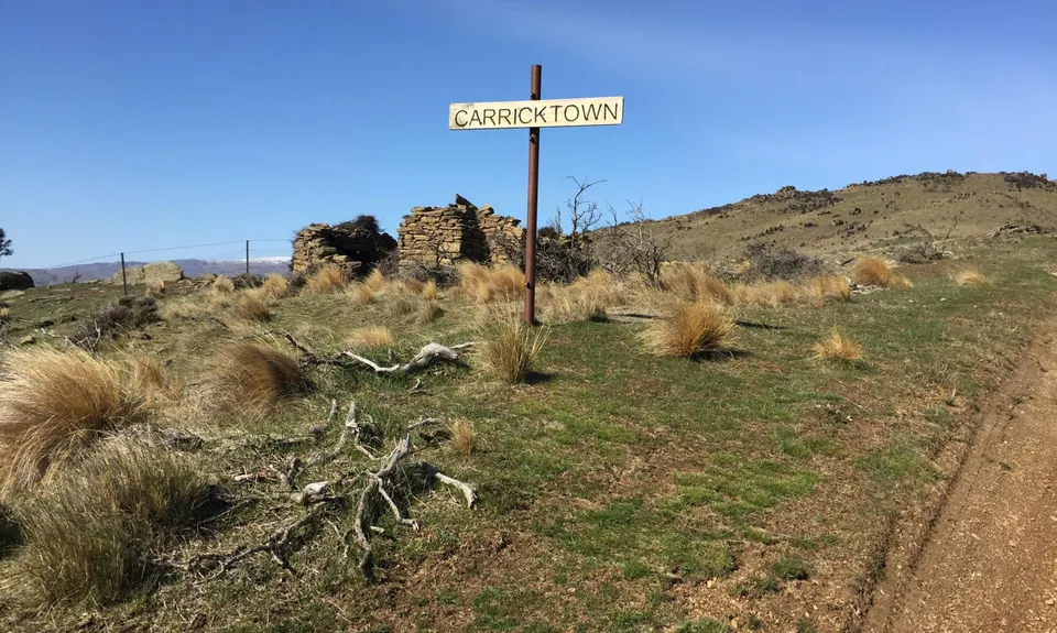 Young Australian, Otago