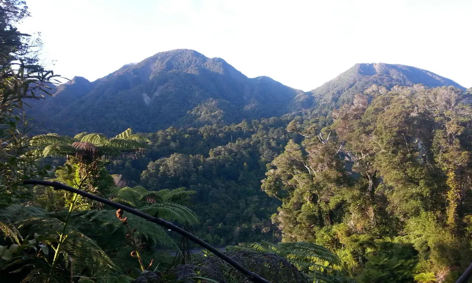 Mt Matthews, Wellington