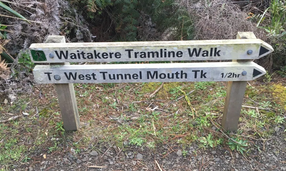 Cascade Kauri Outer Loop, Auckland