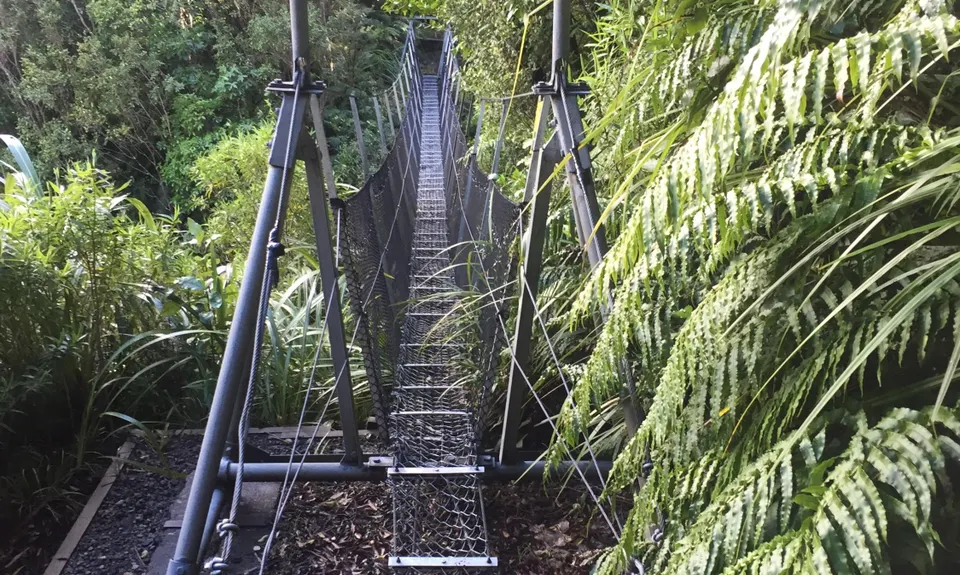 Kokowai Loop, Taranaki