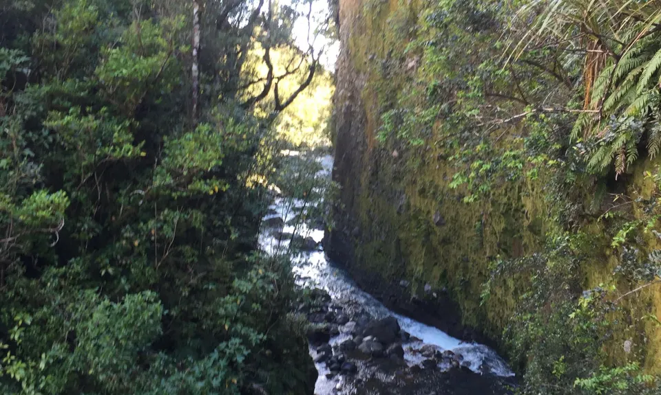 Kokowai Loop, Taranaki