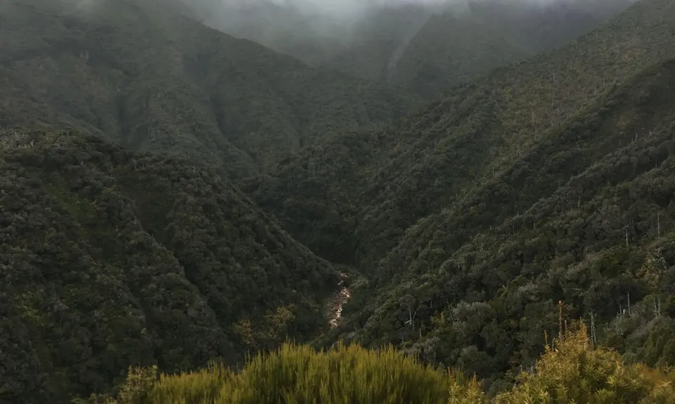 Kokowai Loop, Taranaki