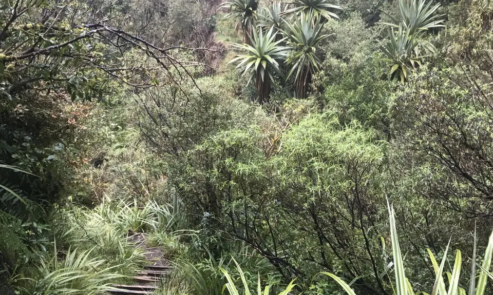 Lake Dive Circuit, Taranaki