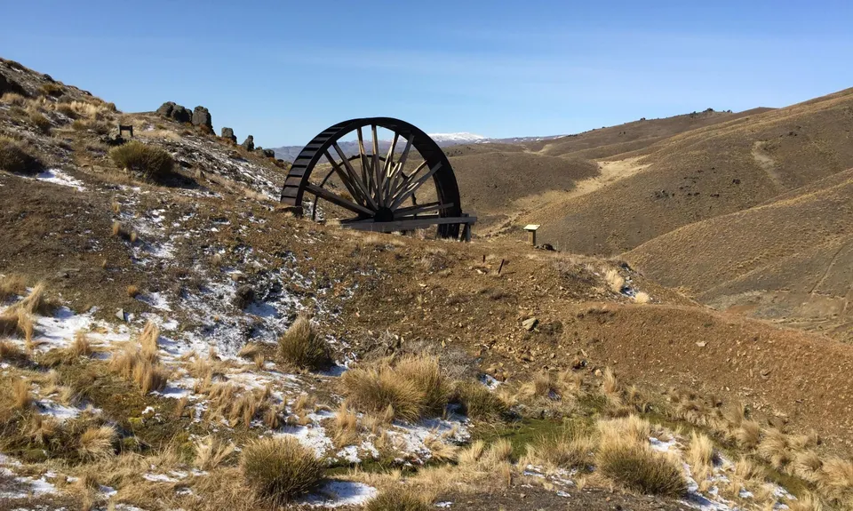 Young Australian, Otago