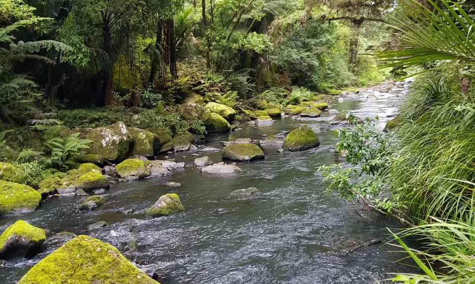 Town Basin, Whangarei Falls & Parihaka , Northland