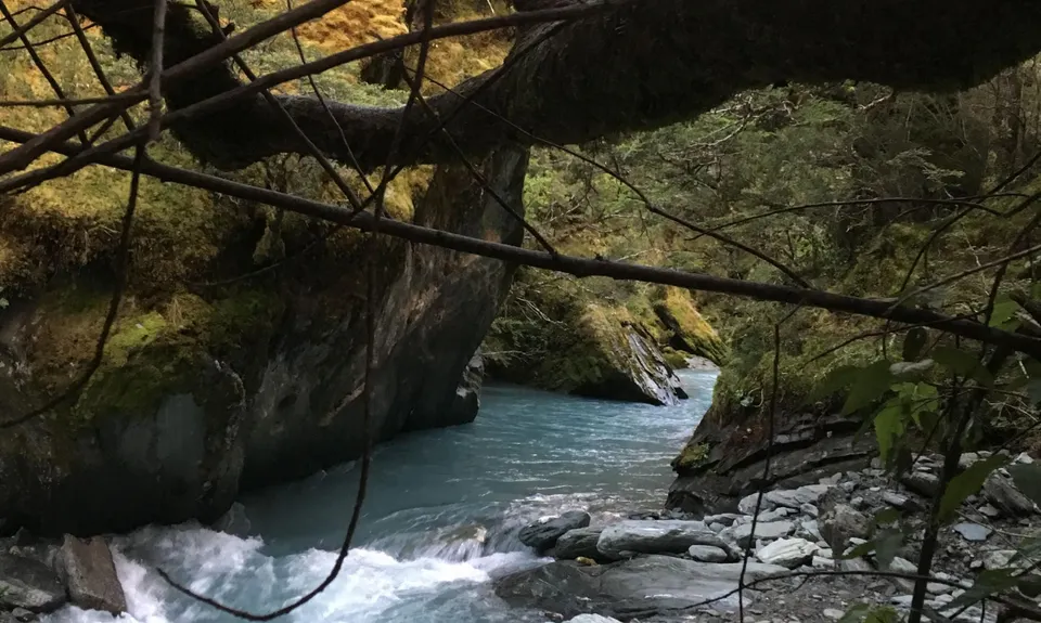 Rob Roy Glacier Track, Otago
