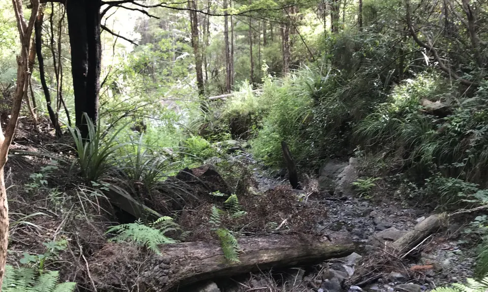 The Hacket, Tasman