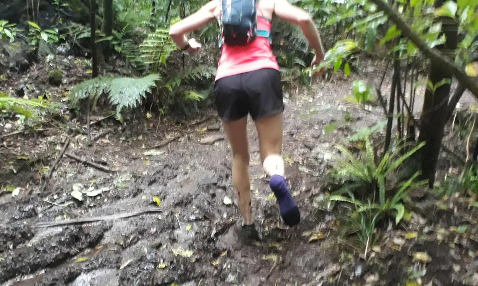 Karangahake Gold, Waikato