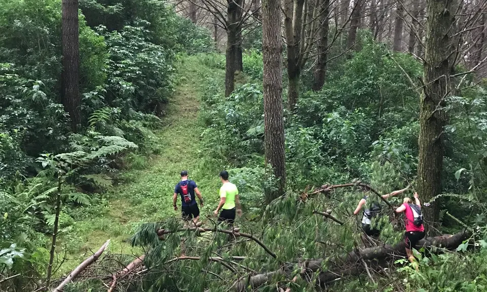 Orum Road/Te Araroa loop, Auckland