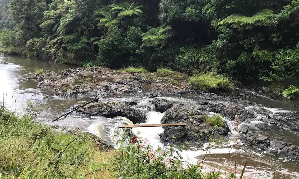 Orum Road/Te Araroa loop, Auckland