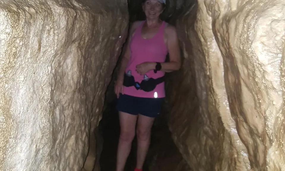 Nikau Loop & Kaniwhaniwha Caves, Waikato