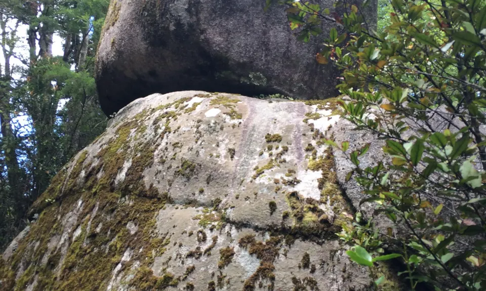 Abel Tasman Inland-Coastal Circuit, Tasman