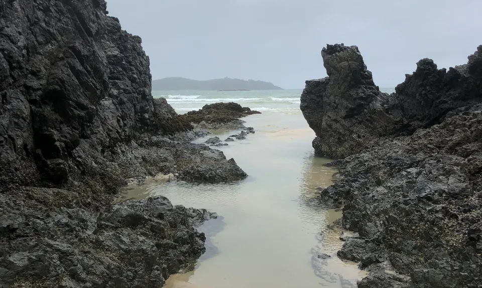 Whananaki Coastal Track, Northland