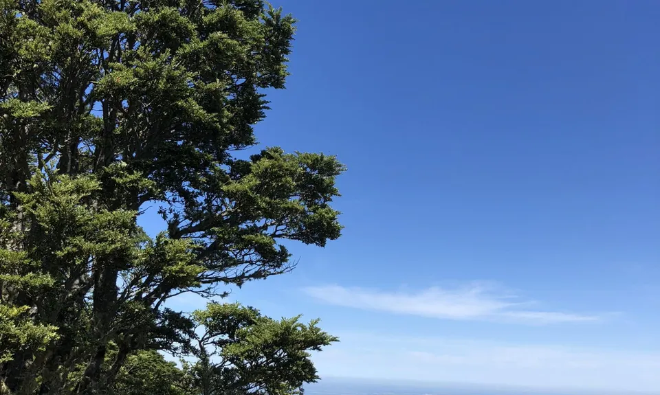 Mt Richardson Rippa, Canterbury