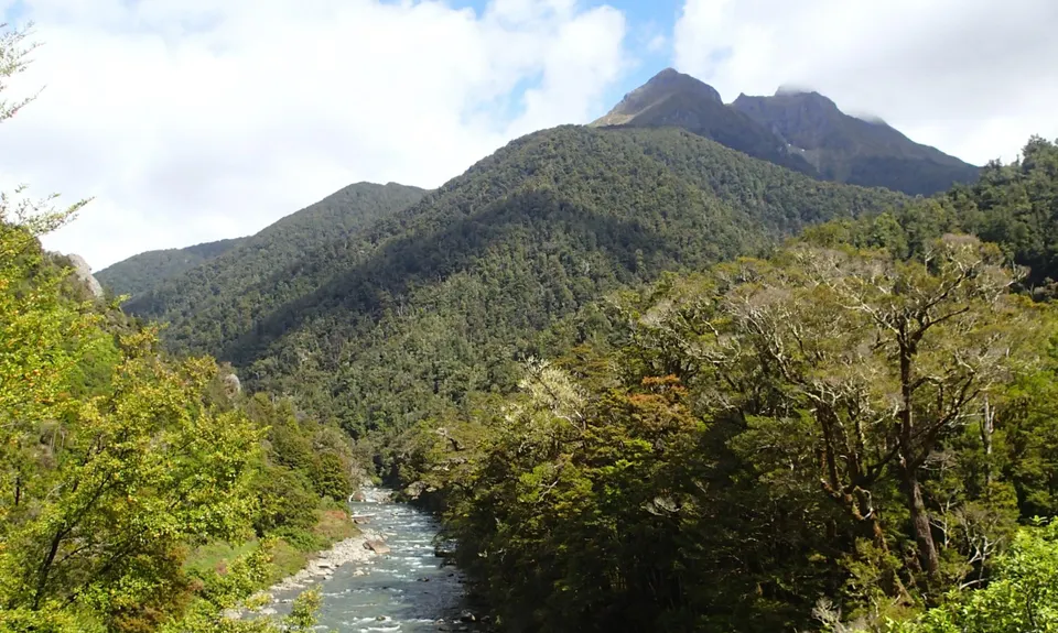 Blue Ducks & Cecil King's Hut , Tasman