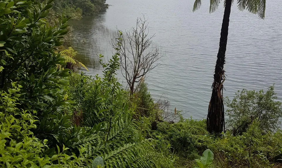 Whakarewarewa Circuit - the Black Track, Bay of Plenty