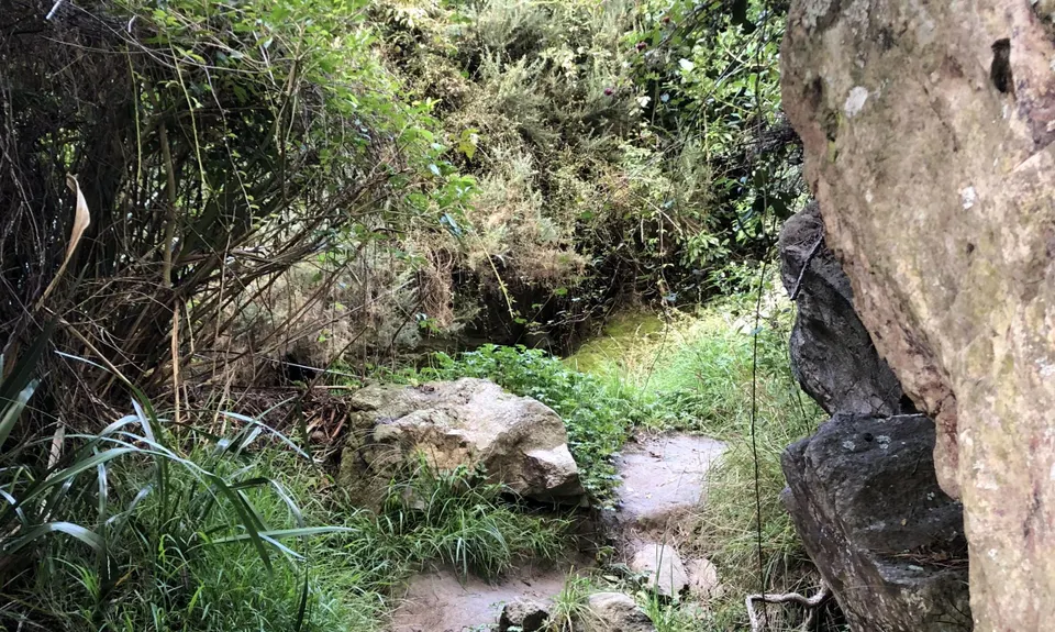 Hunting Out A Gorge-ous Loop, Canterbury