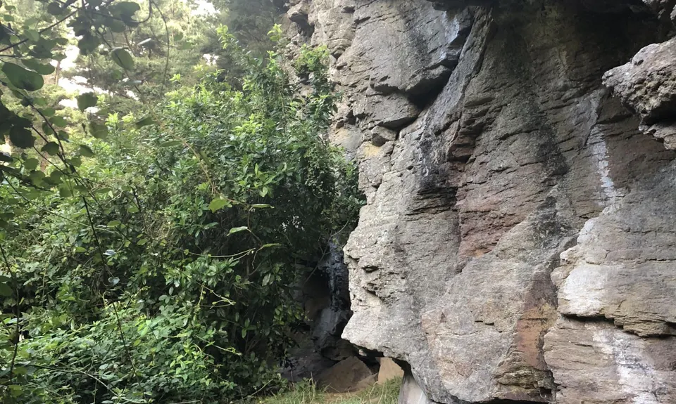 Hunting Out A Gorge-ous Loop, Canterbury