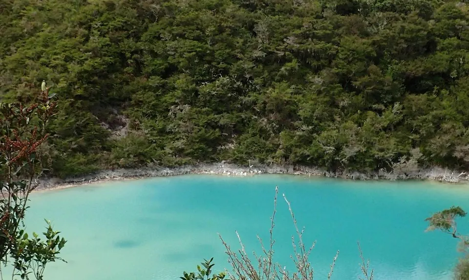 Single Rainbow, Bay of Plenty