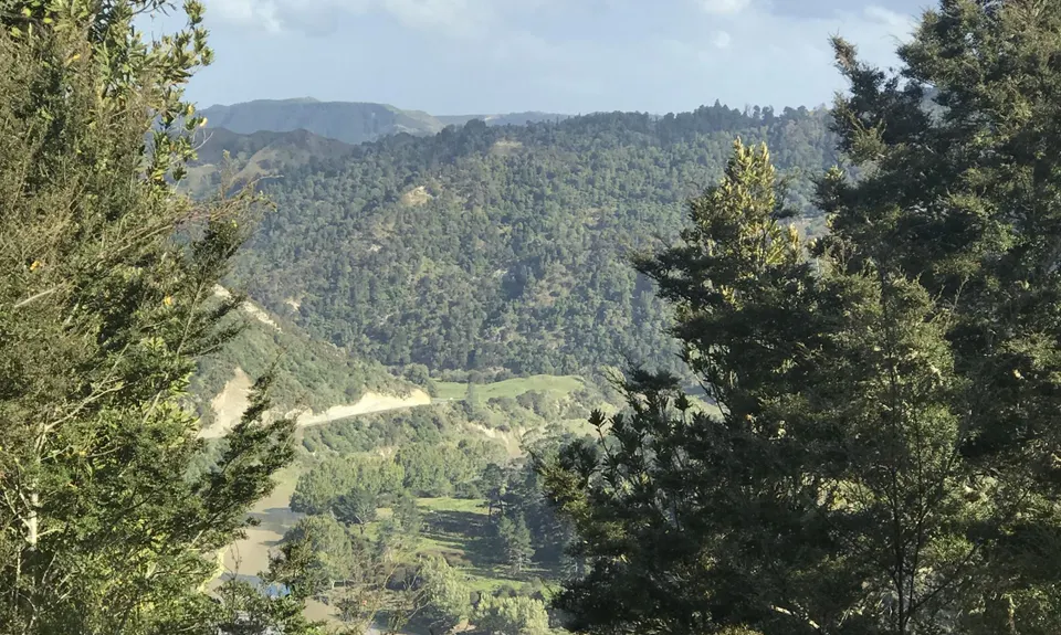 Atene Skyline Track, Manawatu - Wanganui