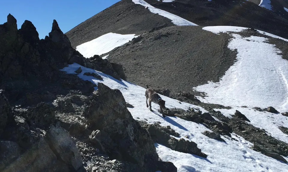 Torlesse Traverse , Canterbury